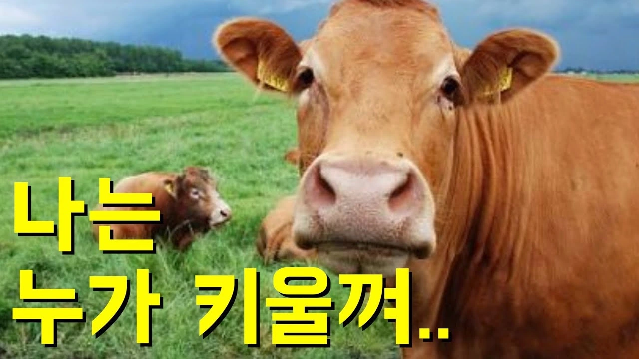 UZ_nlQqyaBbU77uwSkmrruAgmmXwS6R_XvUBKbWZxq4I3PExbQ4fF7F1fVVrj8yaTzBnN0VvICDAGwmNVgYMAzSgV8vjUlbhYc9LlTRmo2-cNTufXSri0MMlWpSzLrP9UpUOL3ZD