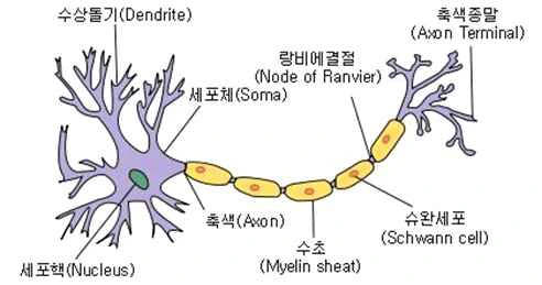 image.png?type=w1200