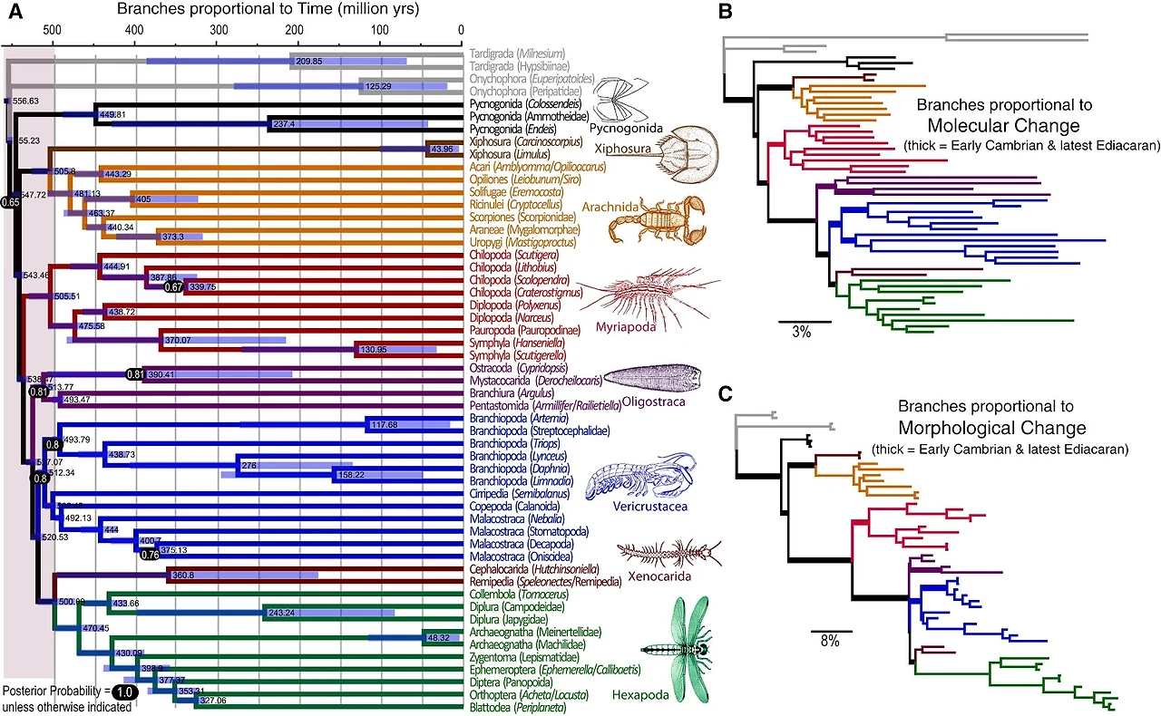 MfLTYIPYUcxuRW6h6Kf-bROnH7tRu0MCksnmAFZ2z9MAKQaBKbQ19OWM0wW7Ps_R2gQ_h5mQLDw_MoksYvcQ6SRivVACkgFQdieYvXkiNOw1coddklyfI6lgeVYC27SF7P_ZGL0A