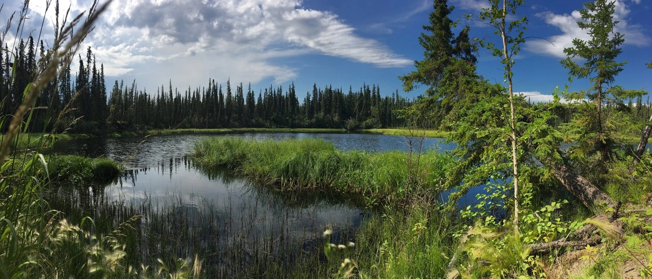 북극권 해빙.jpeg