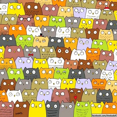 99DDE1335AD443BA1A7E90