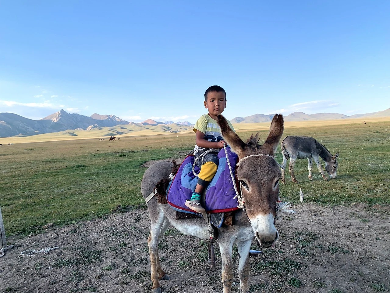 img.jpg?credential=yqXZFxpELC7KVnFOS48ylbz2pIh7yKj8&expires=1764514799&allow_ip=&allow_referer=&signature=66of8xZRYEFoadpNsUcAm%2BZ6CA0%3D