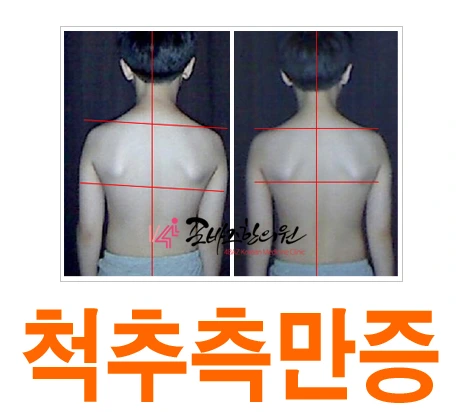 2620D44D5711C596096198