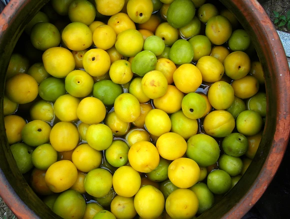 2634DC43572AE5DA34C440