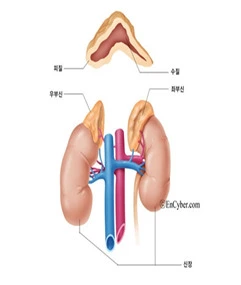 23183F4156C7F51C164960