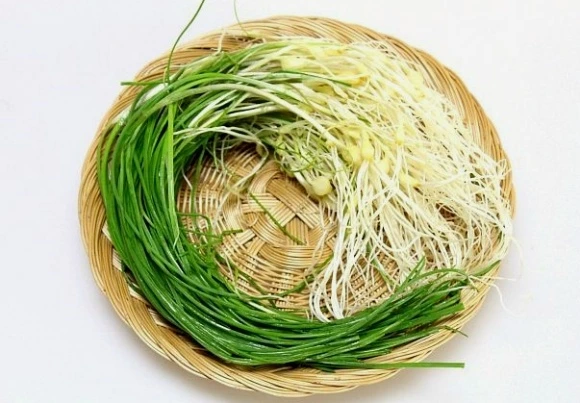 237D133E56E22DF22E3B56