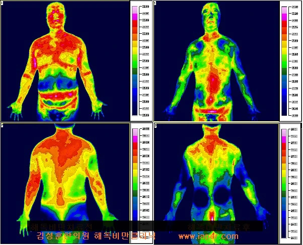 22238B4B558933F617137A