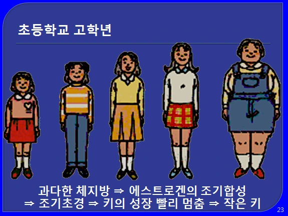 231CBA3356C44FE628C067