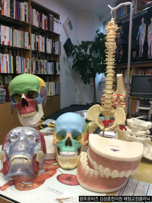 25466C44570CC84402E886