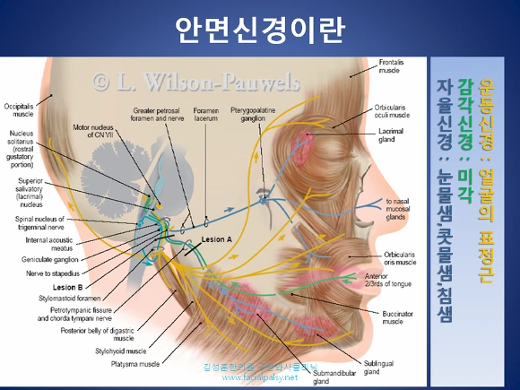 272D6D4456669C2D2A66BE