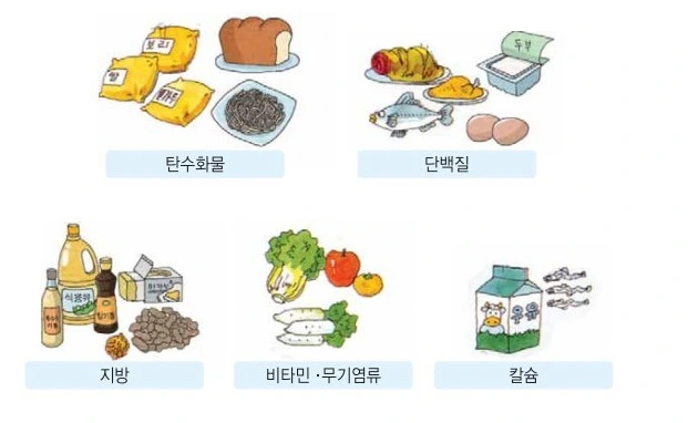 261D7846570F49A6219EF6