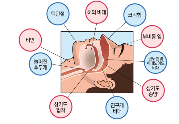 212F944756DFDA04253974