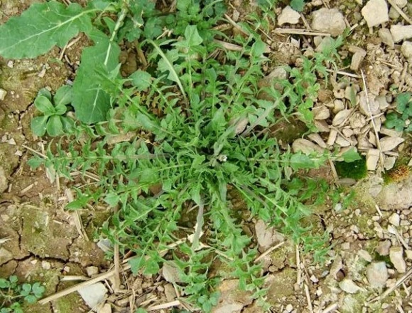 241F463E56E22DF1183AF1