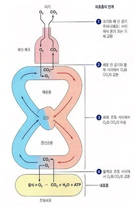 2227404156C7F51A0F6609