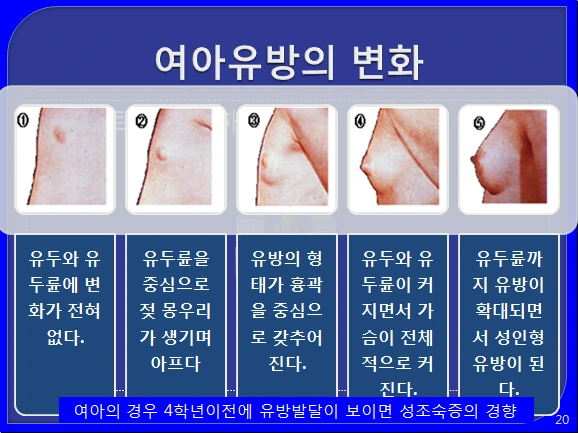 21325D3B56C44C512CCE25