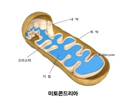 2122A34156C7F51B11616E