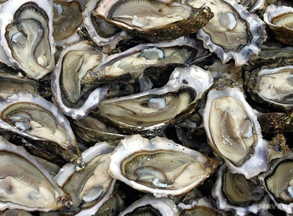 2015-09-15 16;24;49.PNG