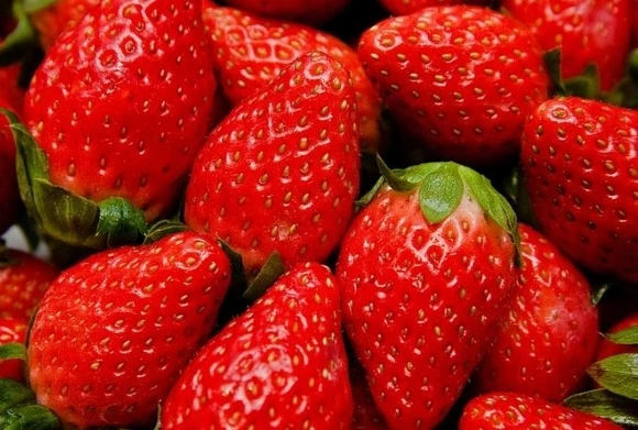 261D8B3E56E22DF2194F76