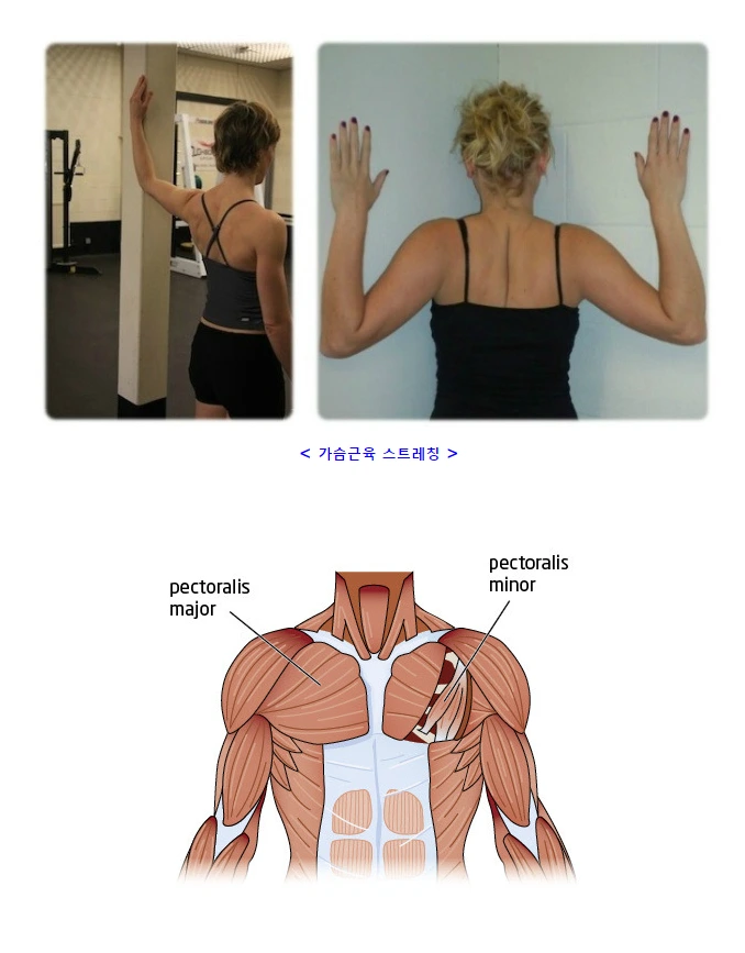 2644E4385745B4AE0FFA45