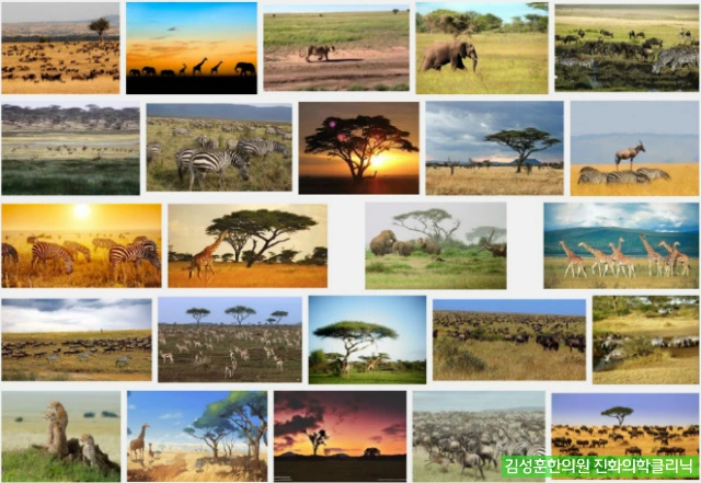 2463364657982F6F0F5D26