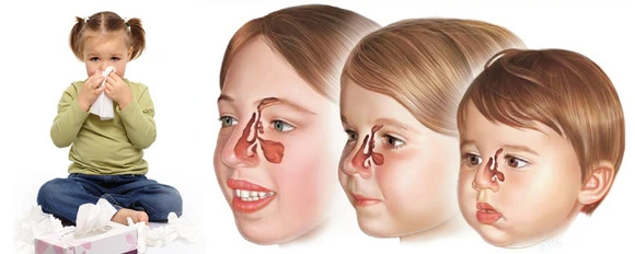 240CA83E565ED1DE3A4C54