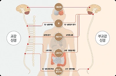 211A744B569991D803E59F