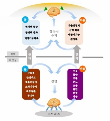 250B2D4656766360262FBD