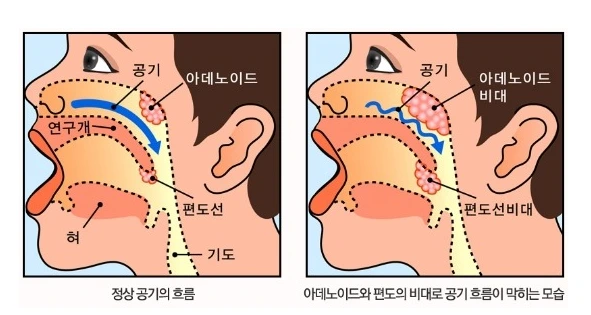 227AD942572B426E1B9F63