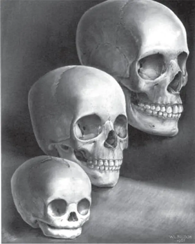 2161F041566149931F2B18