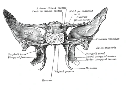 2335BE3E569F5D0D077C7A