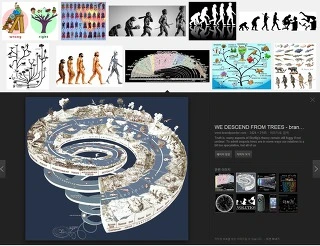 2247C23856502B9E3A2512