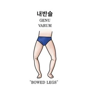 2103524C56FB827328536B