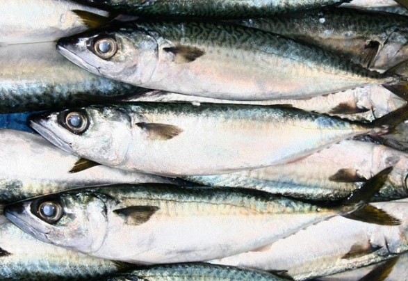 2015-09-15 16;23;28.PNG