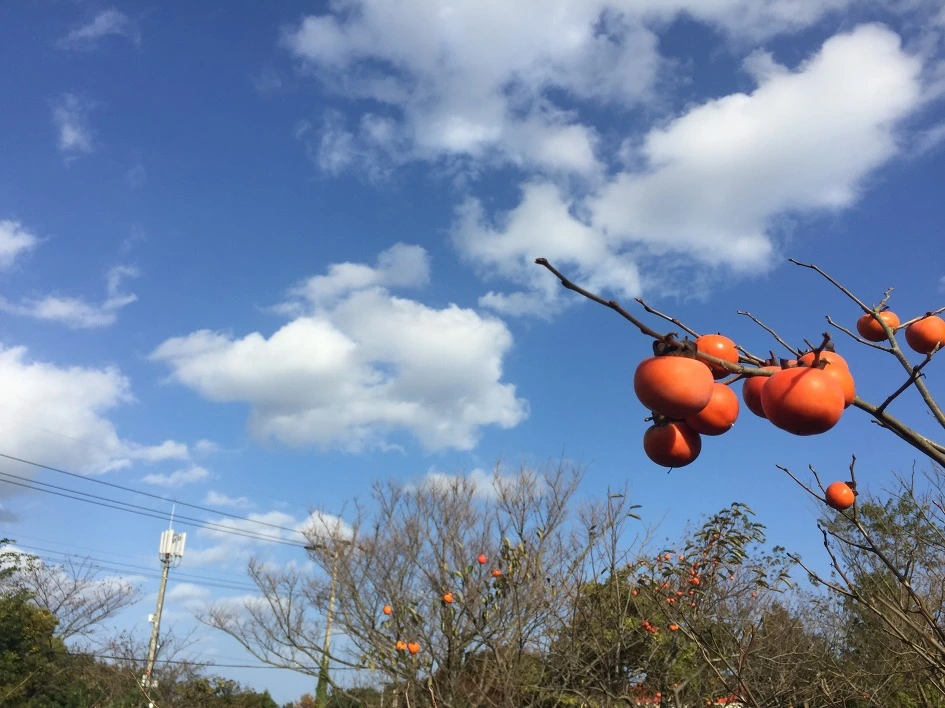 261CAB505632D54833E076