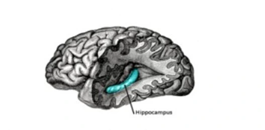 22073433572B48E32BF8A9