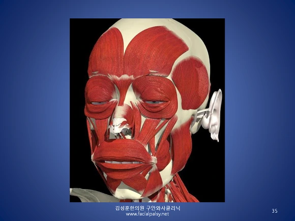 2466534556CC24940D266E