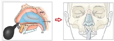 2749C44D56D024E82D45D5