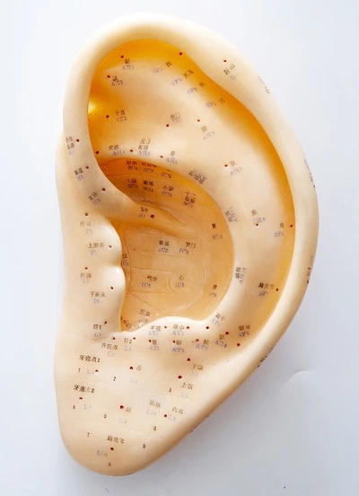 2542CA49563C6B950D7C36