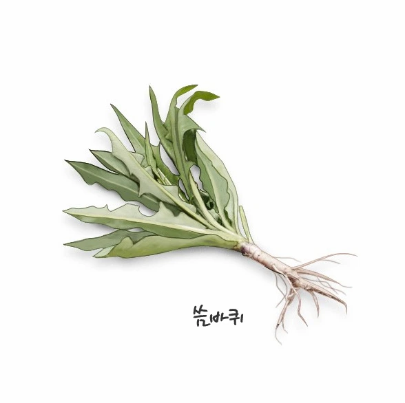 2537DD3B5705ED032533BD