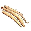 2306D44056A0C5732B4D43