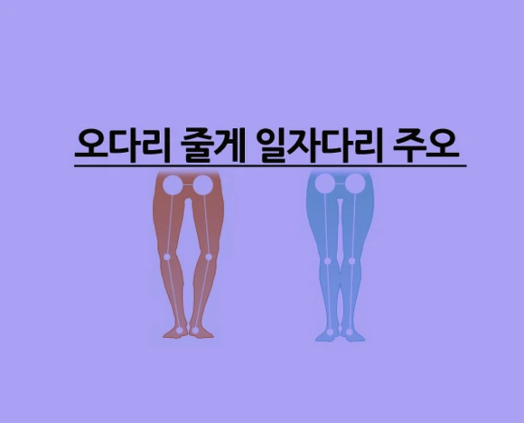 260D4840572A0E6022B544