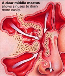 251E674156FD97A42E720A