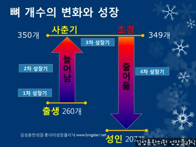 2460814356ECA78921A500