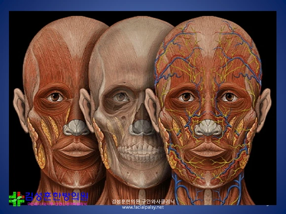 2177BD3F5588A8EA31F726