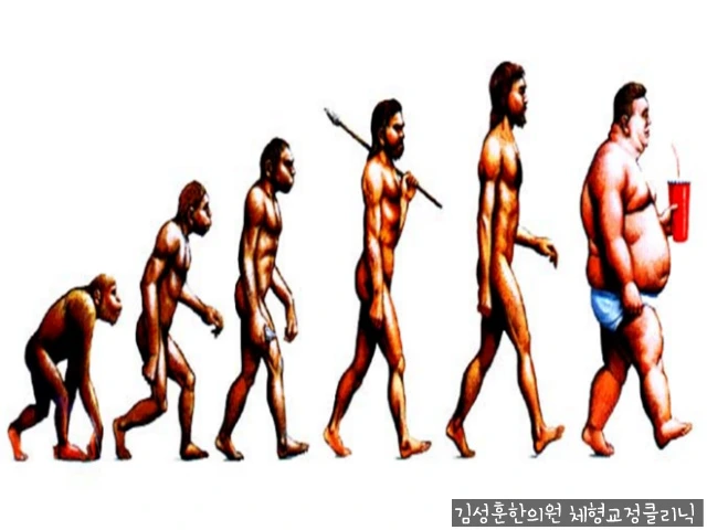 243DED5057033C4B370C52