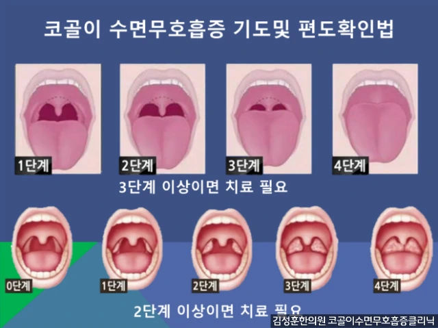 211150435781B63541349C