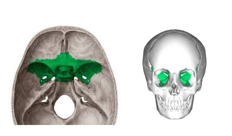 2442903E569F5D0E228D90