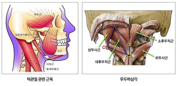 271CD53456A0CF450B8678