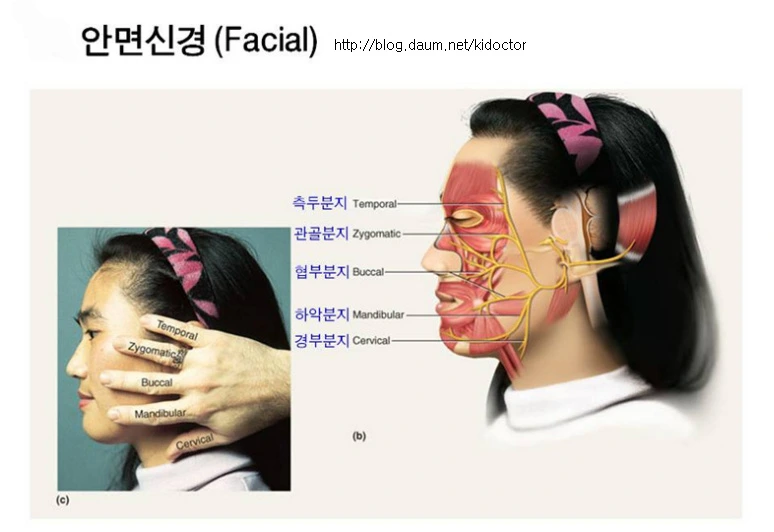 2438A04F5605009D0493E3