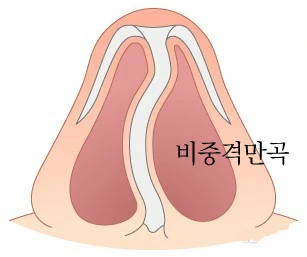 274BAA3D56D7CB251031B6